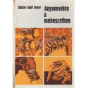 Anyanevelés a méhészetben