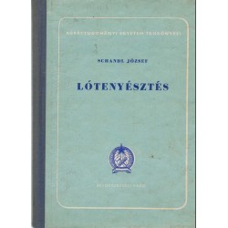 Lótenyésztés