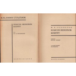 Harcos beduinok között