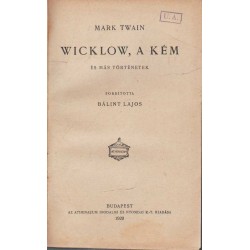 Wicklow, a kém - Michelangelo - Vot egyszer egy király