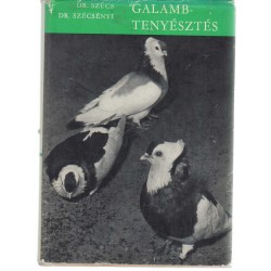 Galambtenyésztés