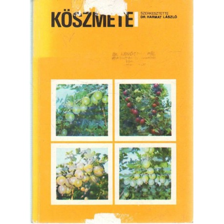 Köszméte