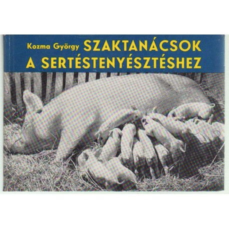 Szaktanácsok a sertéstenyésztéshez