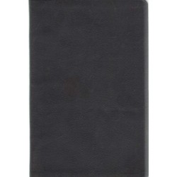 A második helvét hitvallás