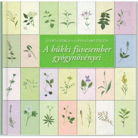 A bükki füvesember gyógynövényei