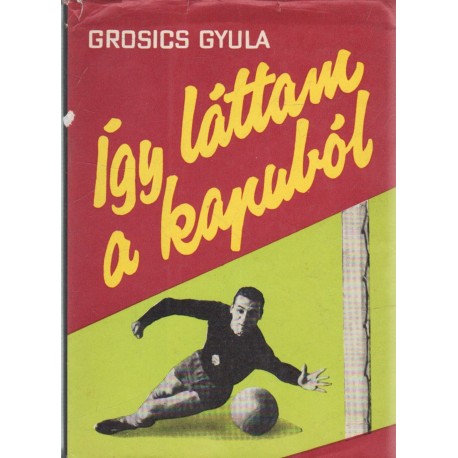 Így láttam a kapuból