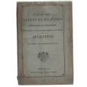 A Magyar Királyi Vasuti és Hajózási Főfelügyelőségnek Közmunka és Közlekedési Minister úrhoz intézett jelentés...
