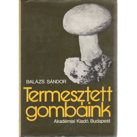 Termesztett gombák