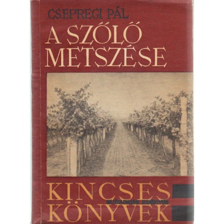 A szőlő metszése