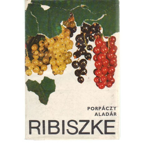 Ribiszke
