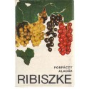 Ribiszke