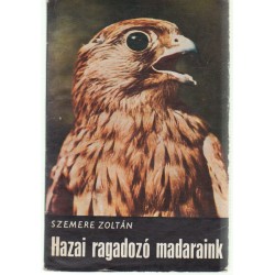 Hazai ragadozó madaraink