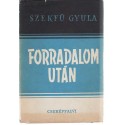 Forradalom után