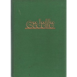 Gödöllö- Die Fahrt der 500 Schweizer Pfadfinder zum IV. Jamboree in Gödöllö (Ungarn) 1933