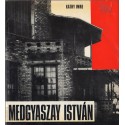 Medgyaszay István