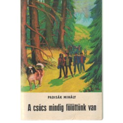 A csúcs mindig fölöttünk van