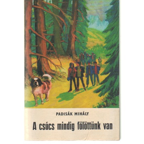 A csúcs mindig fölöttünk van