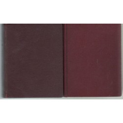 Magyar-angol, angol-magyar szótár I-II.