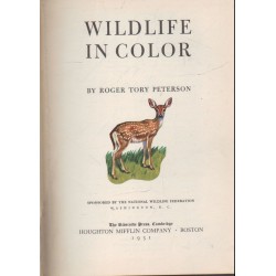 Wildlife in color