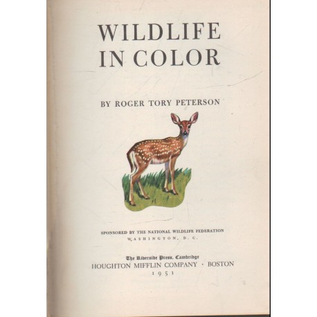 Wildlife in color