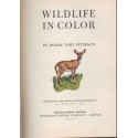 Wildlife in color
