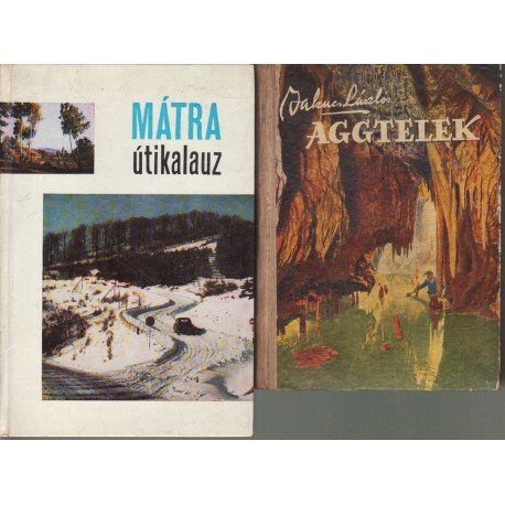 Földrazi- és utikönyvek (6 db.)