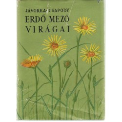 Erdő mező virágai