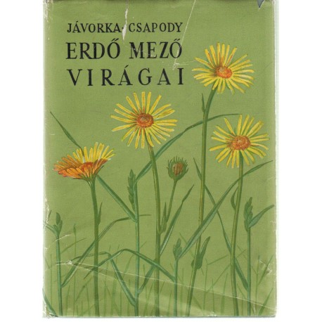 Erdő mező virágai