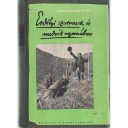 Erdélyi szarvasok és medvék nyomában