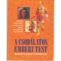 A csodálatos emberi test
