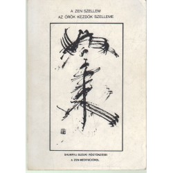 A Zen szellem, Az örök kezdők szelleme