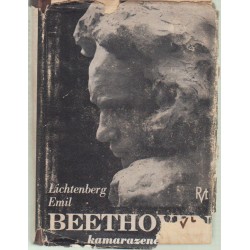 Beethoven kamarazenéje