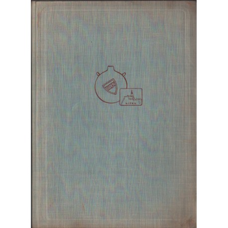 Stredoveká zaniknutá osada na spisi