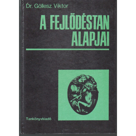 A fejlődés alapjai