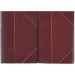 A zsidó irodalom története I-II. kötet