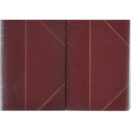 A zsidó irodalom története I-II. kötet