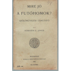 Vezérkönyv a nyilvános ájtatosságokhoz