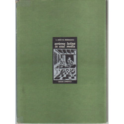 Latin írás története (Scrierea lantiná ín evul mediu)