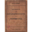 Grundrisz der Naturgeschichte des Tierreiches